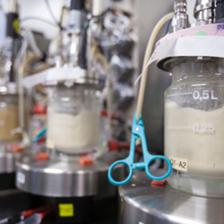 生物技术中心 驱动创新与开发的引擎